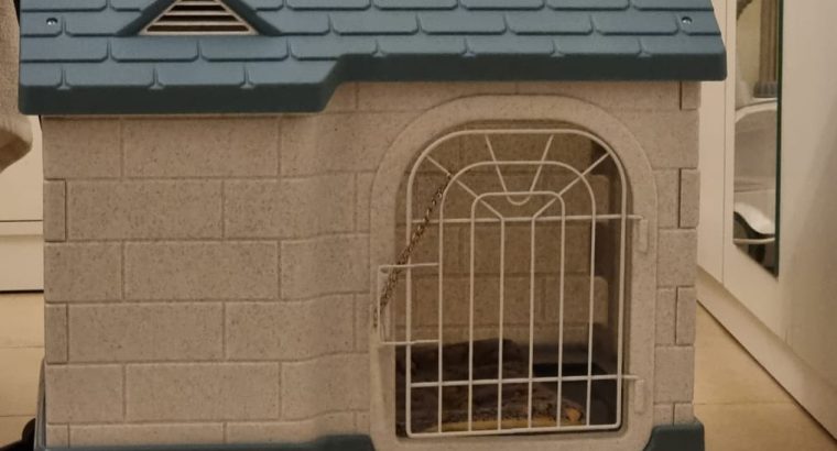 Lovely French bulldog puppies Available now