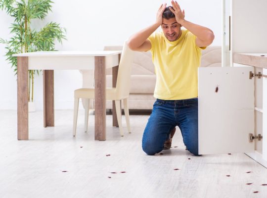 # Pest Control Treatment – Top 10 Listed Company
