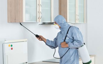 # Pest Control Dubai – Dubai’s Hygiene Expert