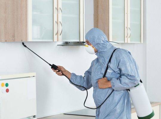 # Pest Control Dubai – Dubai’s Hygiene Expert
