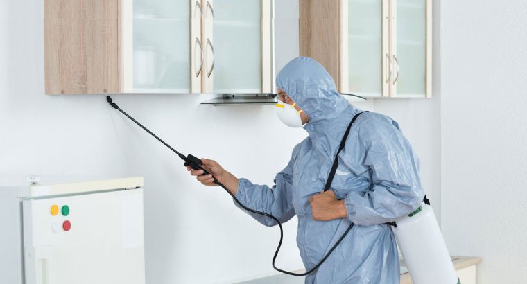 # Pest Control Dubai – Dubai’s Hygiene Expert