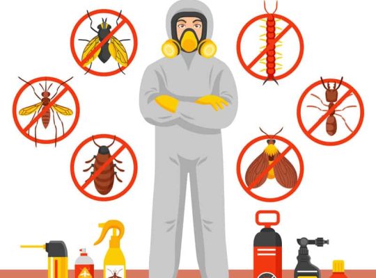 # Pest Control Dubai – Dubai’s Hygiene Expert