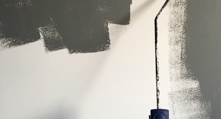 Best Painting & decor service