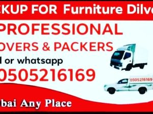 Movers I have a pickup truck for rent dubai any place take