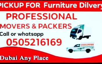 Movers I have a pickup truck for rent dubai any place take