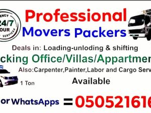 Nice Movers Packers Cheap And Safe