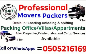 Nice Movers Packers Cheap And Safe