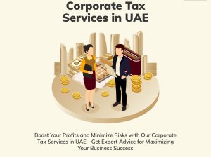 Corporate Tax Consultation in UAE