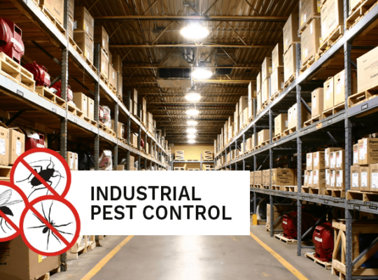 # Pest Control AMC/Agreement – Upto 25% Off