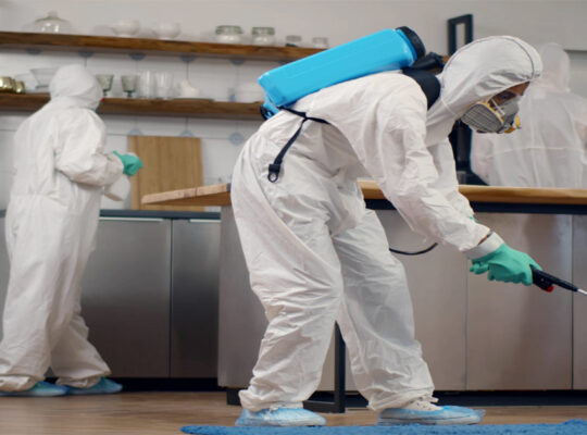 # Pest Control AMC/Agreement – Upto 25% Off