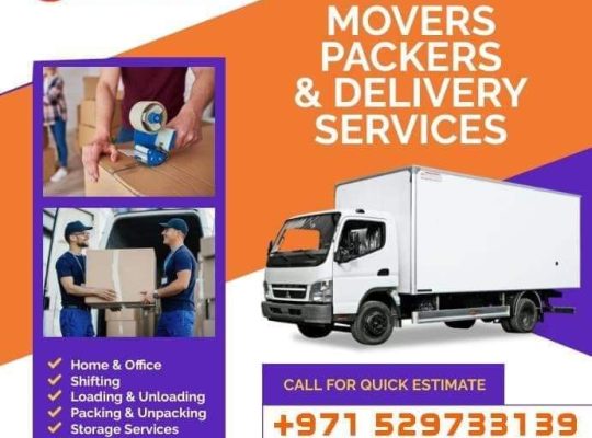 Movers and packers dubai south