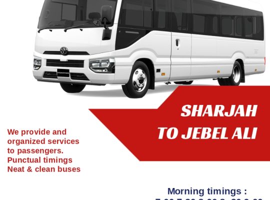 Car lift Jebel Ali