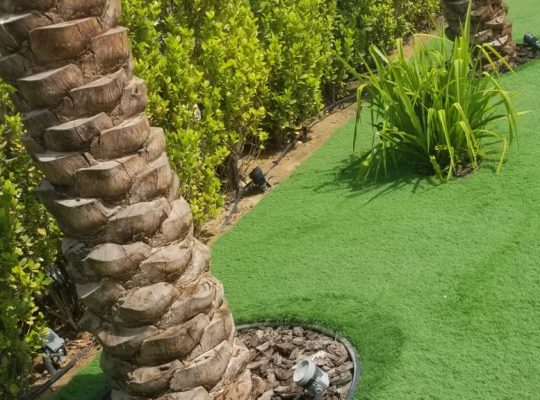 Garden Maintenance And Landscaping
