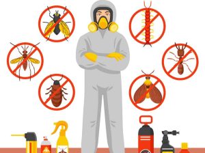 # Pest Control – 30% Off Only for JVC