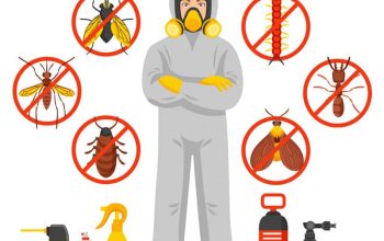 # Pest Control – 30% Off Only for JVC