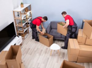 Movers and Packers in Dubai