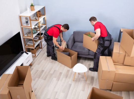 Movers and Packers in Dubai