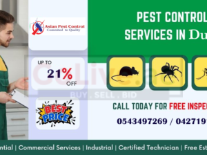 #Top 10 Listed Pest – 21% Off Unlimited Benefit