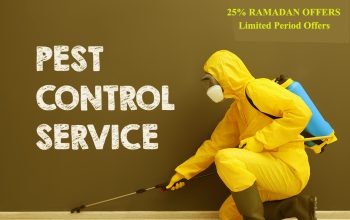 # Pest Control – Best Deals Only This Week