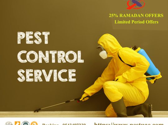 # Pest Control – Best Deals Only This Week