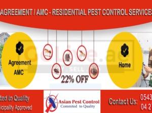 # Municipality Approved Pest – Get 20% Off