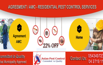 # Municipality Approved Pest – Get 20% Off