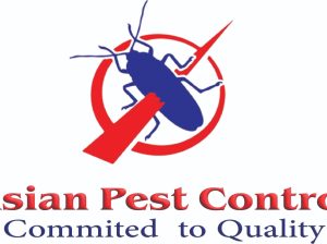# Pest Control – 100% Quality Committed