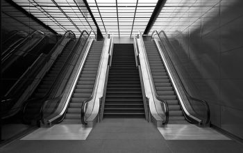 Best Escalators Elevators Elevator Lift Company in Um al quwain