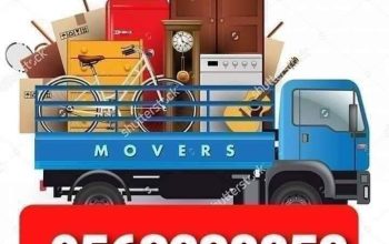 Movers and packers dubai south