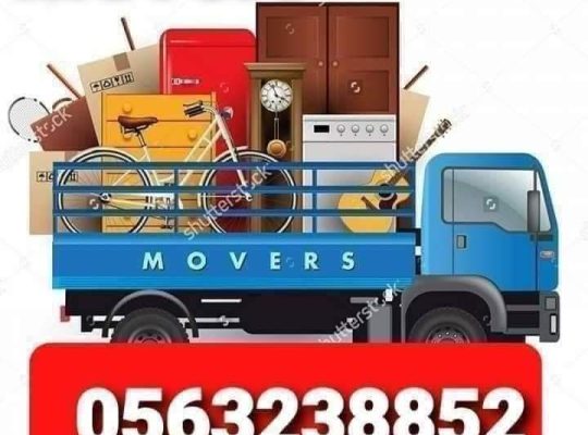 Movers and packers dubai south