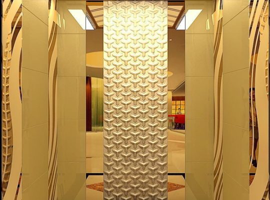 Best Passenger Lift Company in Um al quwain