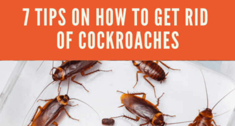 # Pest Control – Good Health & Best Life