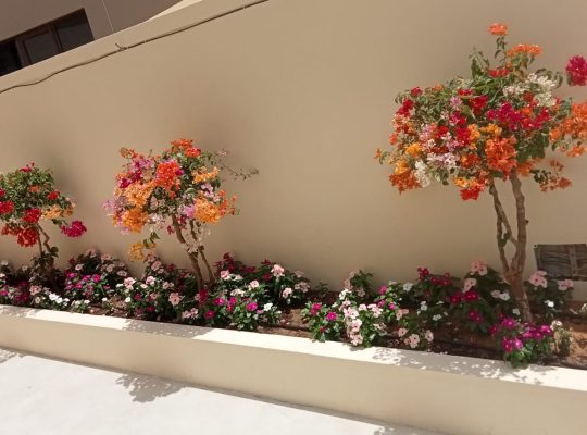 Gardens and Landscaping Work LLC