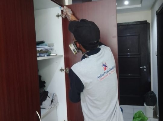 # Pest Control Experts – Book n Get 30AED OFF