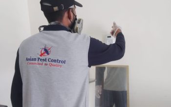 # Pest Control Experts – Book n Get 30AED OFF