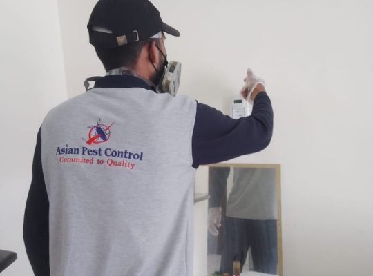 # Pest Control Experts – Book n Get 30AED OFF