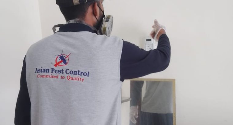 # Pest Control Experts – Book n Get 30AED OFF