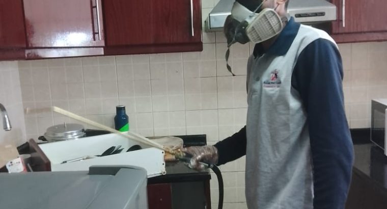 # Pest Control Experts – Book n Get 30AED OFF