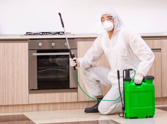 # Pest Control – Good Health & Best Life