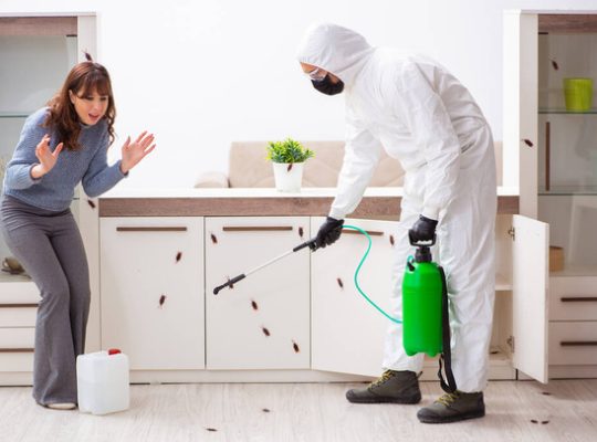 # Pest Control Dubai – Safe & High Quality