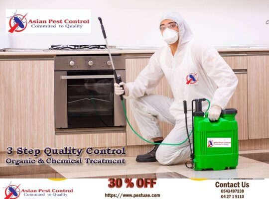 # Best Pest Control – New Year’s 30% OFF