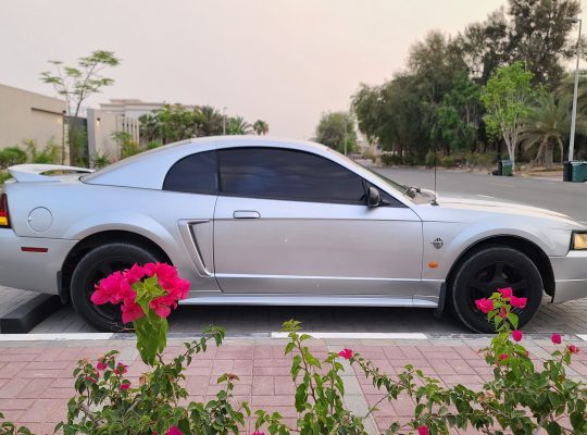 Ford Mustang1999 35th anniversary for sale 050 2134666