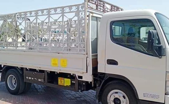 Movers Packers service in Dubai