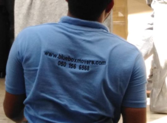Best movers and Packers in Palm Jumeirah