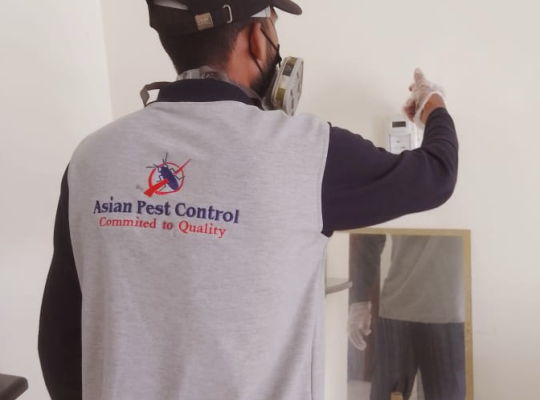 # Pest Control – Reliable n Low Cost !!