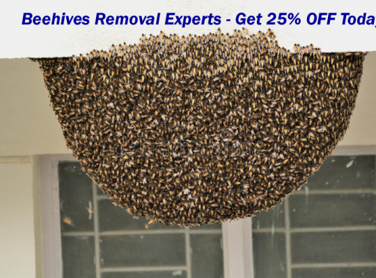 # Pest Control – Reliable n Low Cost !!