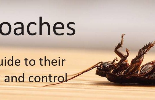 # Pest Control – Top 10 Listed Company