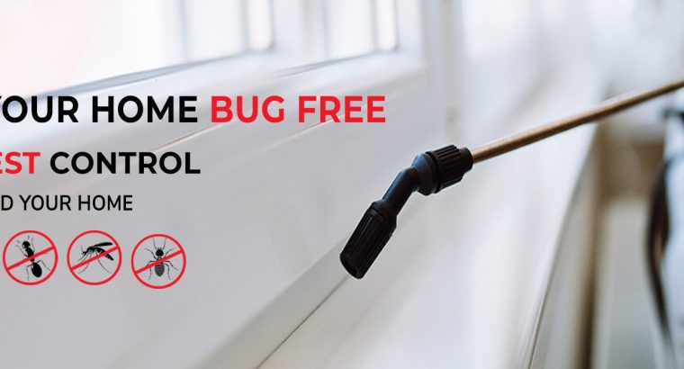 # Get 25% Disc – Cockroaches Treatment