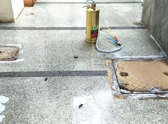 # Pest Control – Top 10 Listed Company
