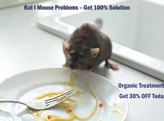 # Pest Control – Reliable n Low Cost !!